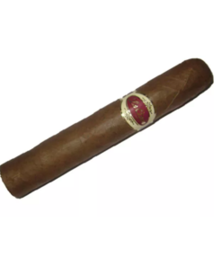 Charuto Le Cigar Robusto