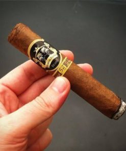 Charuto Diógines Puentes Robusto